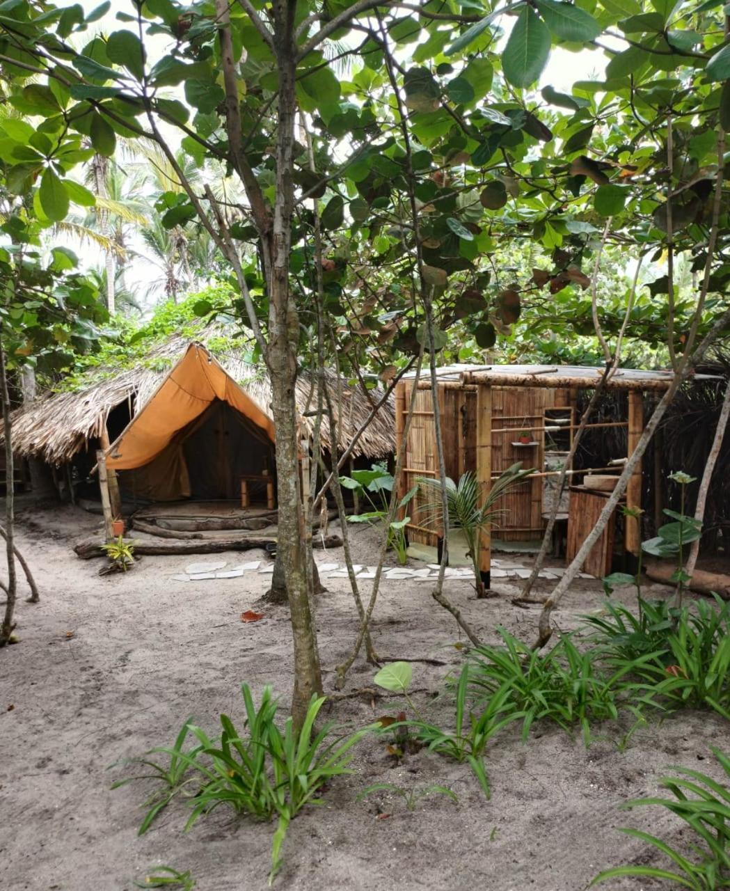 Lote 10 Glamping Hotell Guachaca Eksteriør bilde